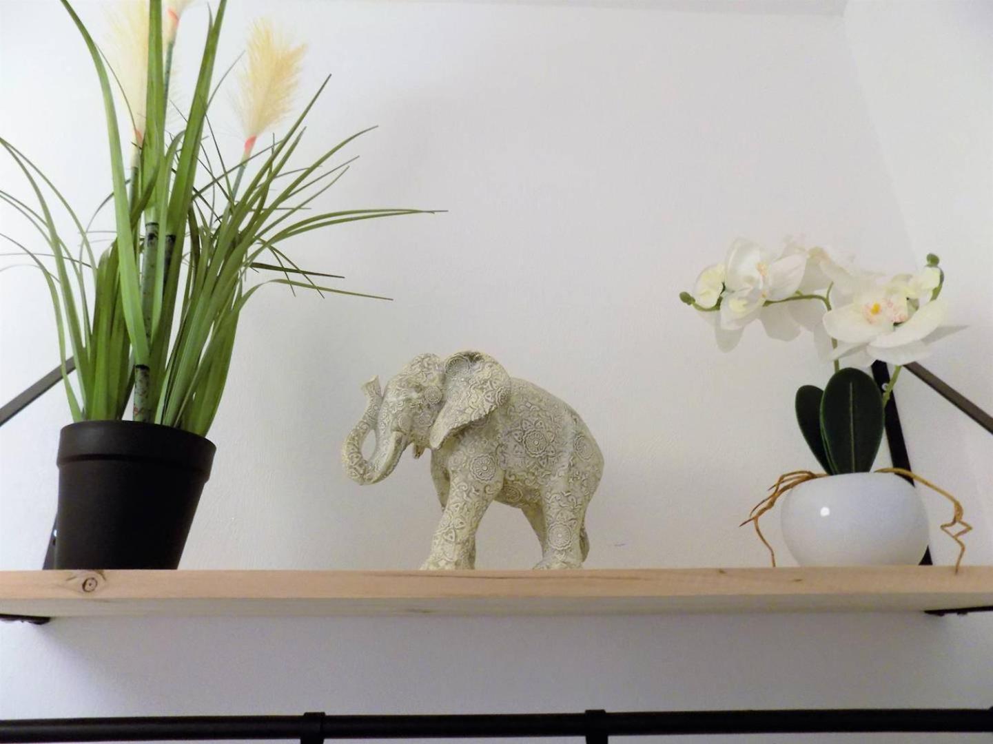 Saint Georges De Didonne - Appartement Proche Plage Et Centre-Ville エクステリア 写真